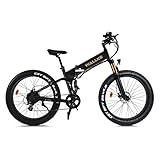 W Wallke Ebike Folding Electric Bike