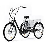 Viribus 3 Wheel Electric Bike for Adults