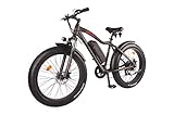 DJ Fat Bike 750W