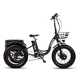 addmotor motan electric tricycle