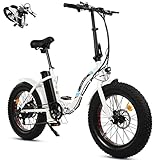 ECOTRIC 20