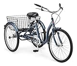 Schwinn 24