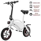 shaofu folding Waterproof electric bike