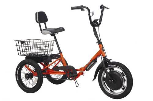 long range electric trike