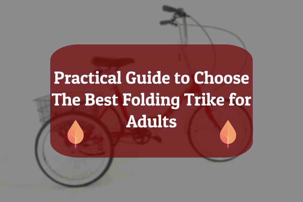 ​Best Folding Adult Tricycles