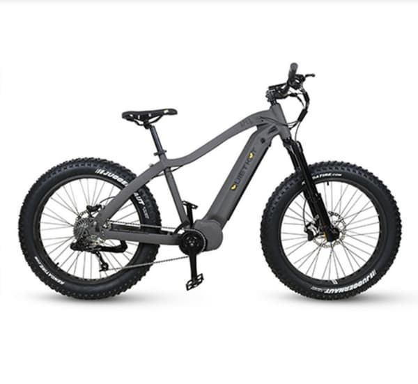 quietkat apex fat bike